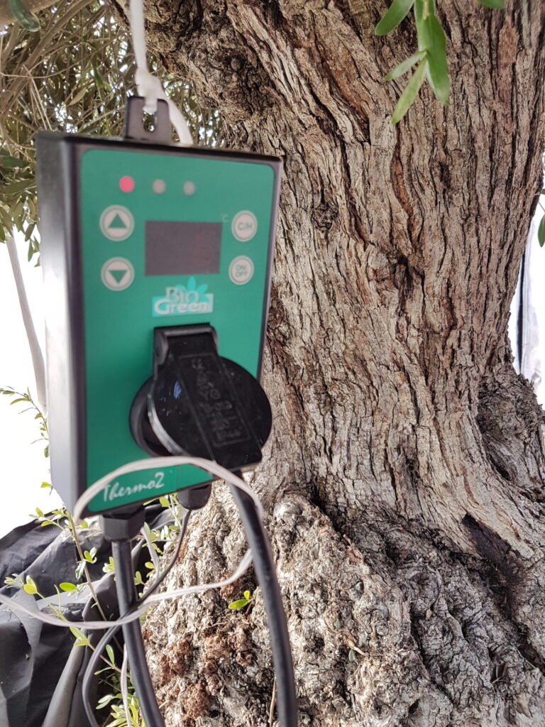 Temperatursteuerung Winterschutz