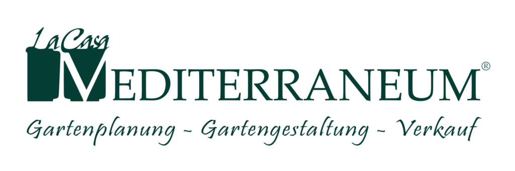 2025 Logo Mediterraneum Kopie