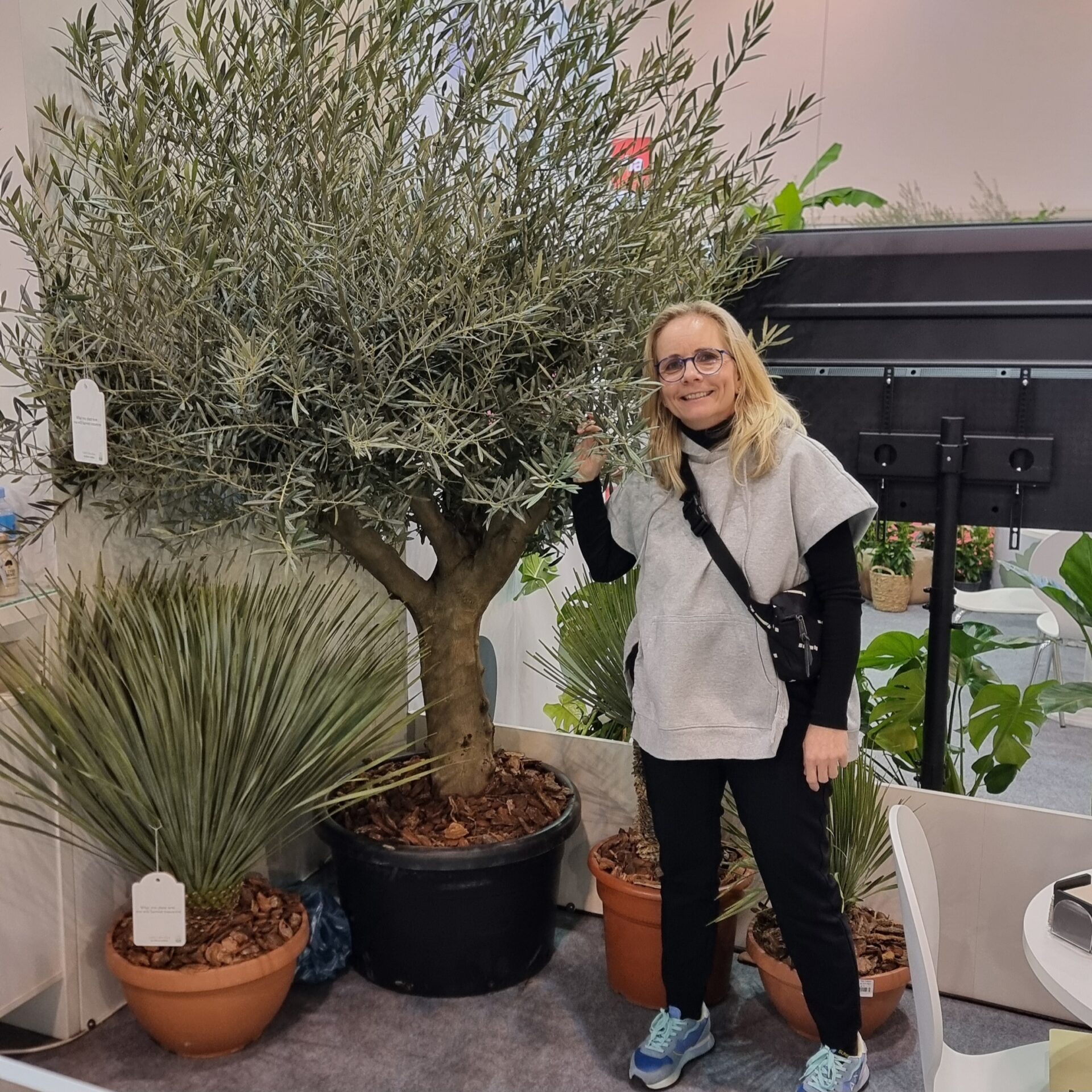 Olivenbaum Kübel (Container 110l) mit Anne Scherschmidt