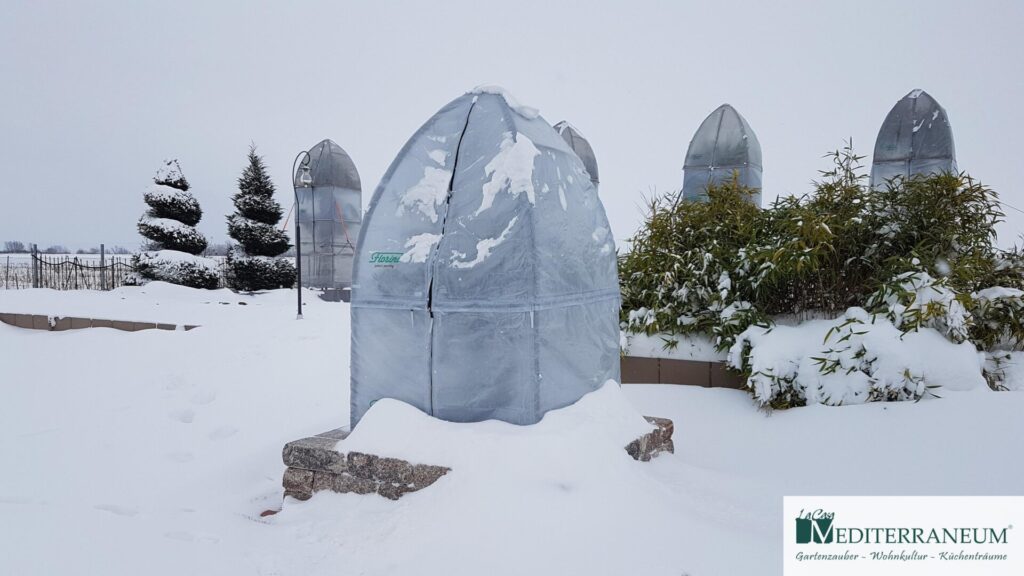 Winterschutz Zelt Olive 250cm