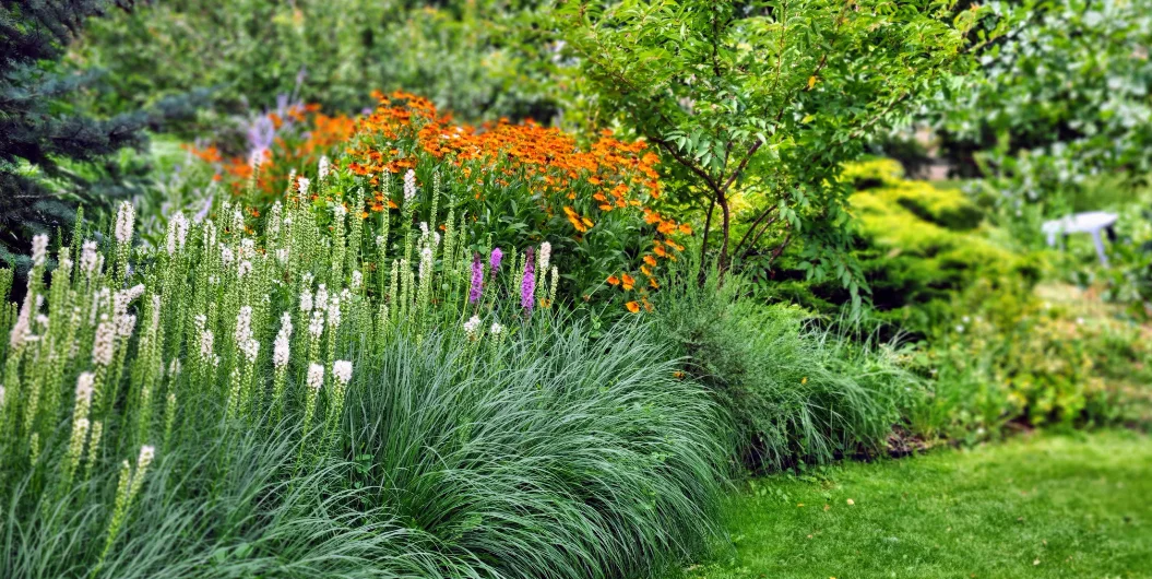 Hangbepflanzung in Köthen