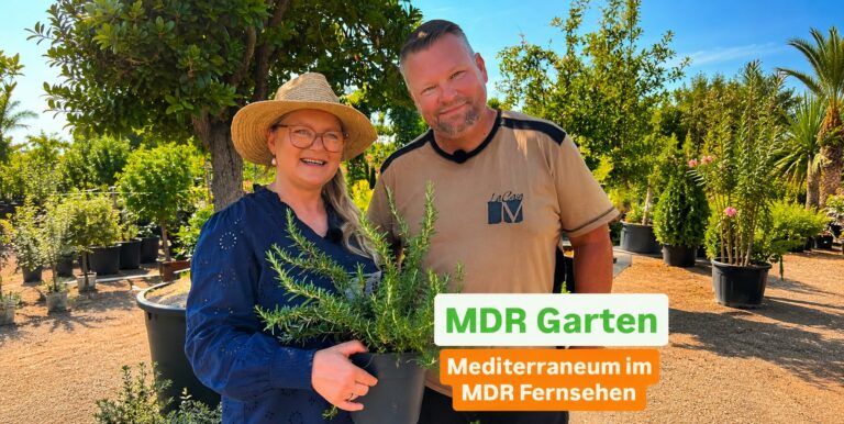 MDR Garten zu Gast im Mediterraneum bei Köthen: Moderatorin Diana Fritzsche-Grimmig und Stefan mit Rosmarin